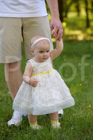 Fain Family 2017