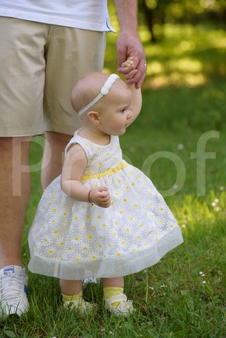 Fain Family 2017