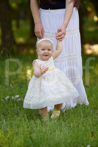 Fain Family 2017