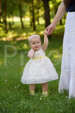 Fain Family 2017