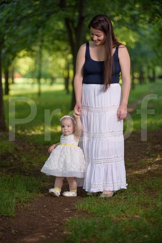 Fain Family 2017