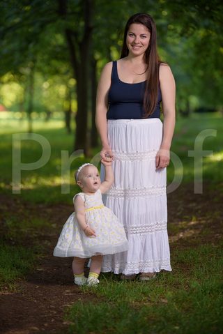 Fain Family 2017