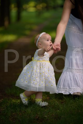 Fain Family 2017
