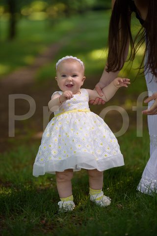 Fain Family 2017