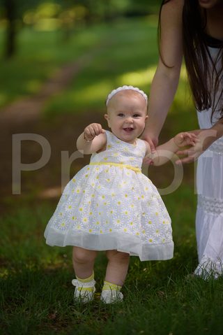 Fain Family 2017