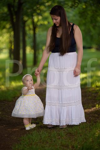 Fain Family 2017