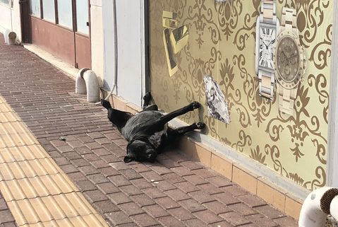 Greece 2018