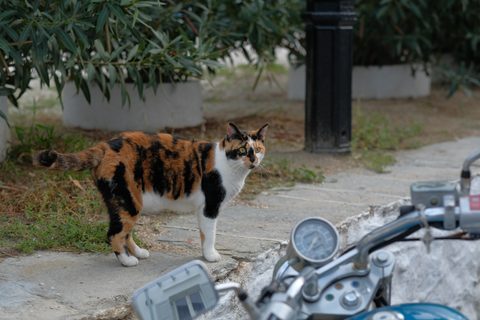 Greece 2018
