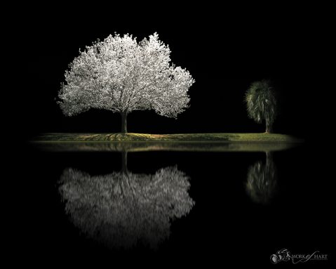 Landscapes