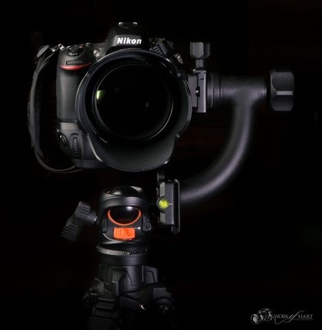 Product & Commercial