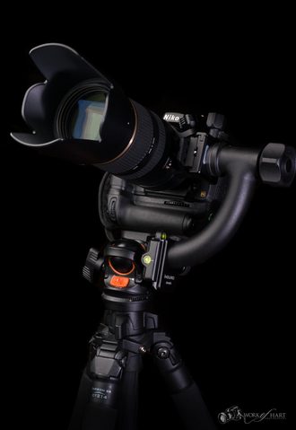 Product & Commercial