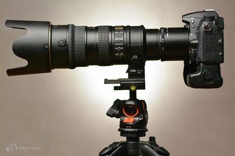 Product & Commercial